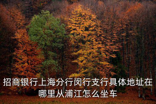 上海市浦江鎮(zhèn)招商限行，浦江貨車有限行嗎
