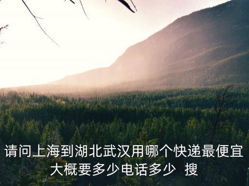 請問上海到湖北武漢用哪個快遞最便宜大概要多少電話多少  搜