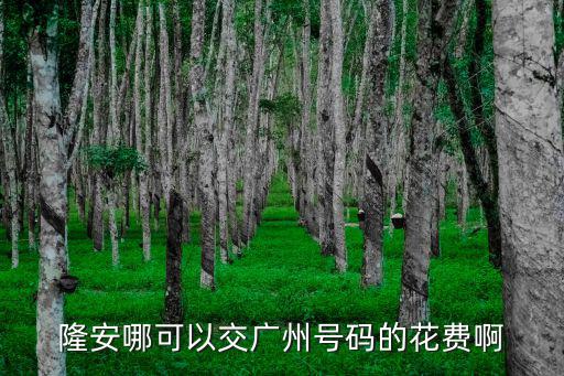 隆安哪可以交廣州號碼的花費啊