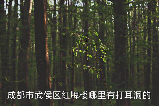 成都市武侯區哪里有鳥洞，我在成都 武侯區 科華北路 晚上8點左右 會在科華北路的ATT天橋處 往
