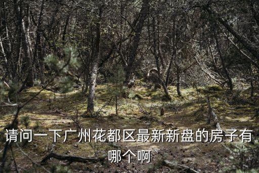 請問一下廣州花都區最新新盤的房子有哪個啊