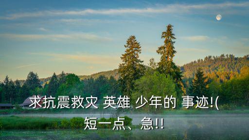 求抗震救災 英雄 少年的 事跡!(短一點、急!!