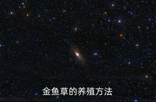 金魚草的養殖方法