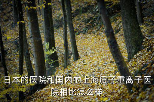 上海市離子質(zhì)子醫(yī)院，上海市質(zhì)子重離子醫(yī)院是公立醫(yī)院嗎