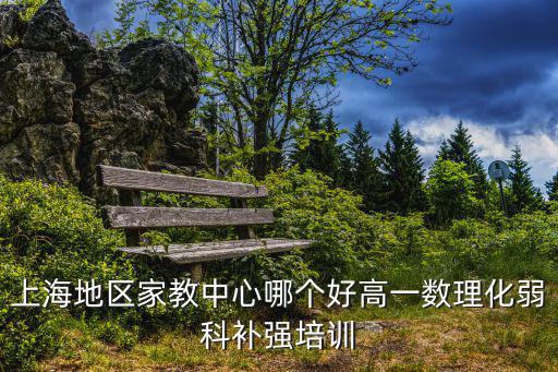 上海地區家教中心哪個好高一數理化弱科補強培訓