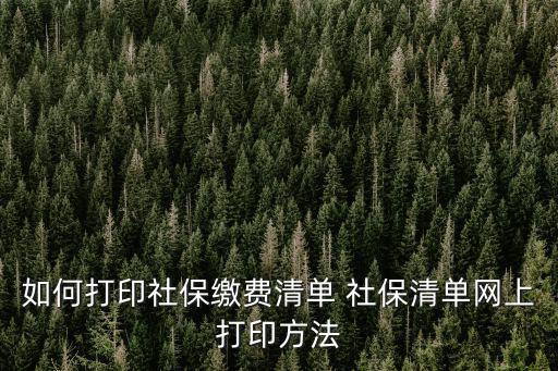 如何打印社保繳費清單 社保清單網上打印方法