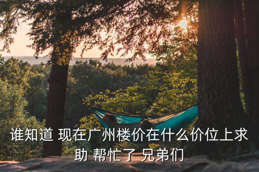 誰知道 現在廣州樓價在什么價位上求助 幫忙了 兄弟們