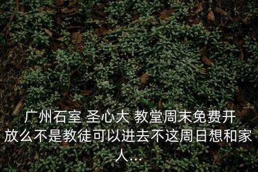 廣州圣心大教堂,廣州十大景點:塔圣心da教堂一德路天主教堂
