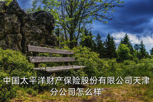 中國(guó)太平洋財(cái)產(chǎn)保險(xiǎn)股份有限公司天津分公司怎么樣