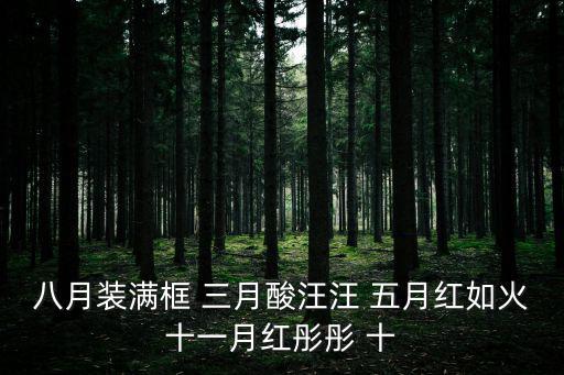 八月圖片，QQ會員8月壁紙下載的地址在哪