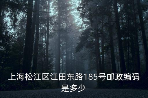 上海松江區江田東路185號郵政編碼是多少