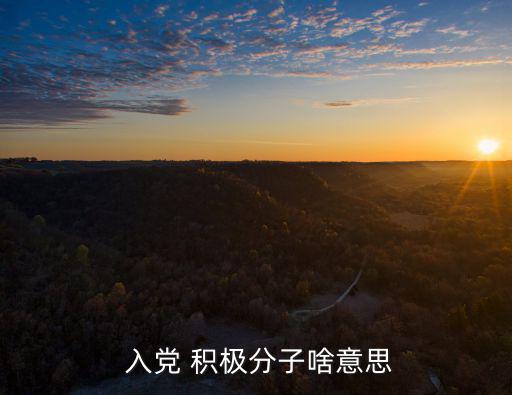  入黨 積極分子啥意思