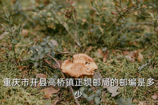 重慶市開(kāi)縣高橋鎮(zhèn)正壩郵局的郵編是多少