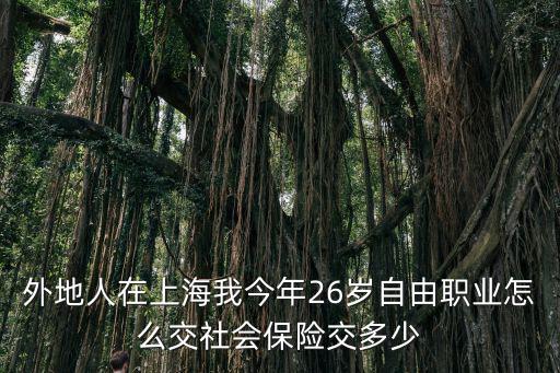 外地人在上海我今年26歲自由職業怎么交社會保險交多少
