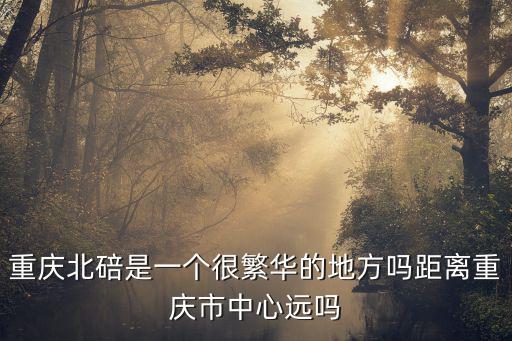 重慶市北碚區荷馬畫室，請問重慶市北碚區車管所地址洗我要辦理駕照的事情知道的請告