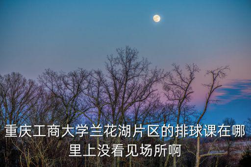 重慶工商大學蘭花湖片區的排球課在哪里上沒看見場所啊