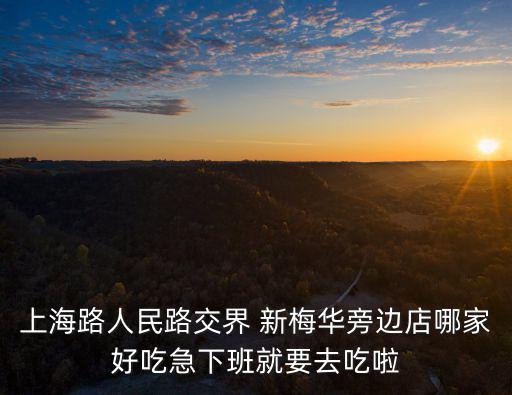 上海路人民路交界 新梅華旁邊店哪家好吃急下班就要去吃啦