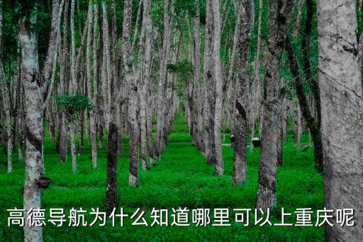 高德導航為什么知道哪里可以上重慶呢
