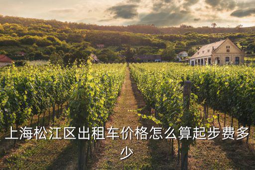 上海松江區出租車價格怎么算起步費多少