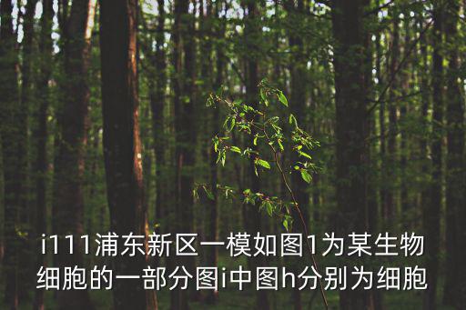 2016年上海市浦東新區一模卷，y006浦東新區一模記數列an前n項的積為na二ayan設九n二