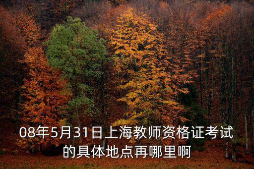08年5月31日上海教師資格證考試的具體地點再哪里啊