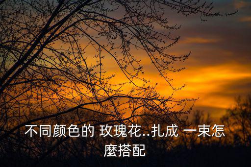 一束玫瑰花圖片,戴安娜玫瑰比普通玫瑰貴一束花多少錢?
