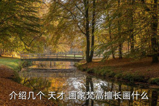 天才畫家,荷蘭畫家梵高在阿姆斯特丹成天才畫家