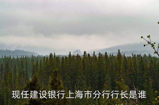 上海市王建峰公示，現任建設銀行上海市分行行長是誰