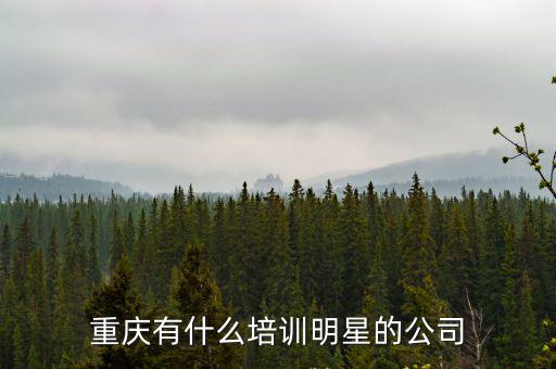 重慶有什么培訓明星的公司