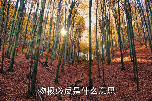 物極必反什么意思,《管子·循環》第二集:物極必反