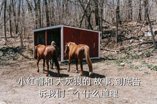 小紅帽與大灰狼的故事,最新版本變成小紅帽用剪刀捅開肚子自救