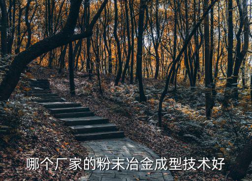 哪個廠家的粉末冶金成型技術(shù)好