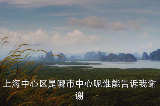 上海中心區(qū)是哪市中心呢誰能告訴我謝謝