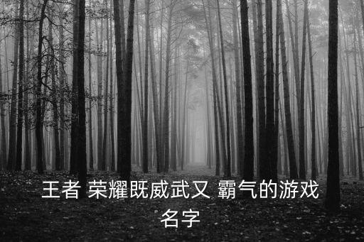  王者 榮耀既威武又 霸氣的游戲 名字