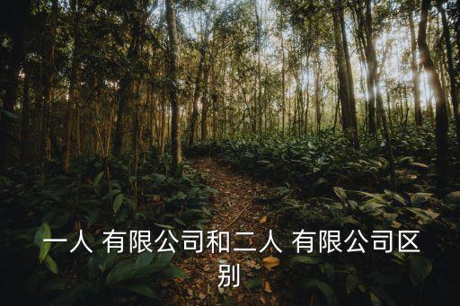 一人有限公司,有限責任公司與一人有限公司不同之處