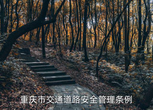 重慶市交通道路安全管理?xiàng)l例