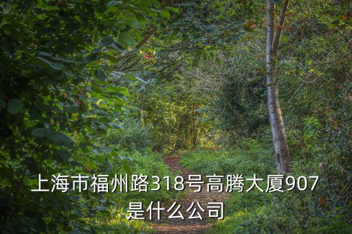 上海市威爾遜光電，上海市福州路318號高騰大廈907是什么公司