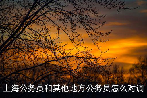 上海市調任中辦，上海公務員和其他地方公務員怎么對調
