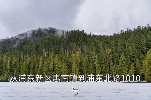 從浦東新區惠南鎮到浦東北路1010號