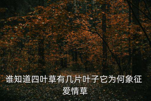 誰知道四葉草有幾片葉子它為何象征 愛情草