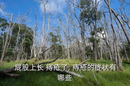  屁股上長(zhǎng) 痔瘡了, 痔瘡的癥狀有哪些