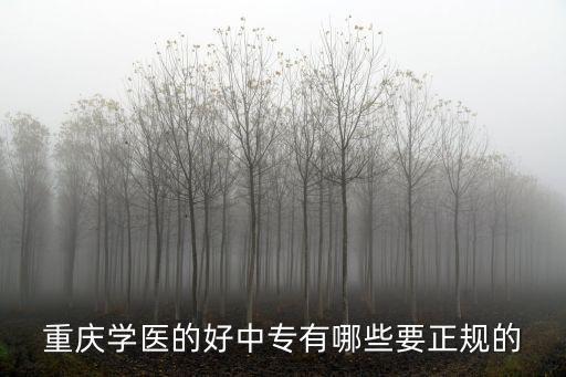 重慶學醫的好中專有哪些要正規的