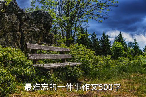 最難忘的一件事作文500字