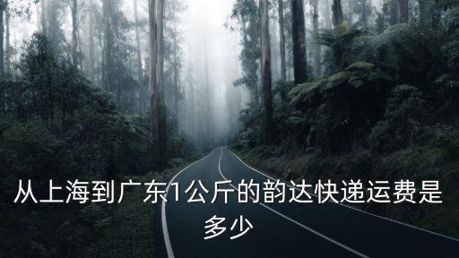 從上海到廣東1公斤的韻達(dá)快遞運(yùn)費(fèi)是多少