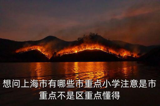 上海市金邊小學，誰知道上海市楊浦區小學排名情況