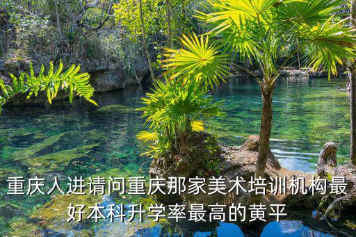 重慶人進請問重慶那家美術培訓機構最好本科升學率最高的黃平