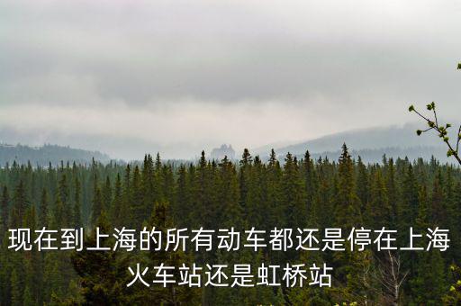 現(xiàn)在到上海的所有動車都還是停在上海火車站還是虹橋站