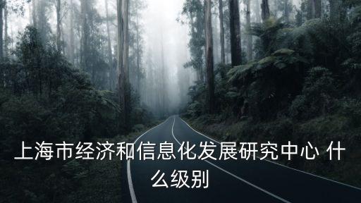 上海市發展研究中心是公務員，上海市經濟和信息化發展研究中心 什么級別