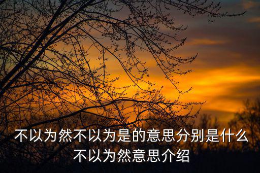  不以為然不以為是的意思分別是什么 不以為然意思介紹