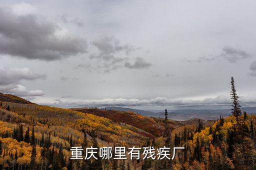 重慶市渝中區(qū)重慶市殘疾單位，2016年重慶哪些企業(yè)招殘疾人